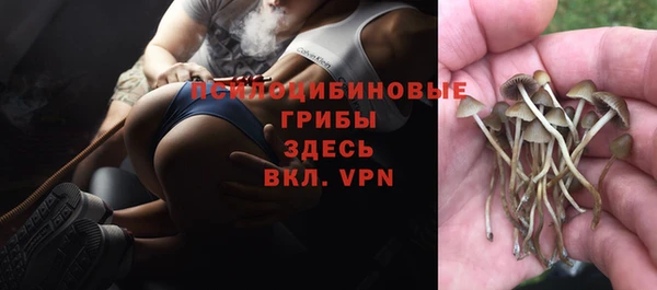 не бодяженный Липки