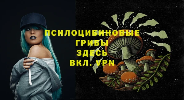 бошки Лиски