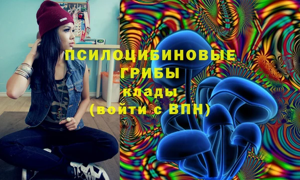 бошки Лиски