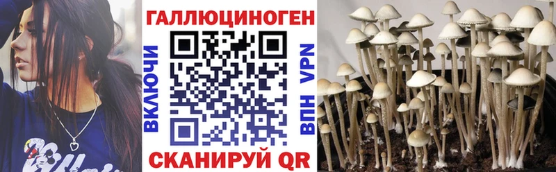 Псилоцибиновые грибы Magic Shrooms  это формула  Шатура 