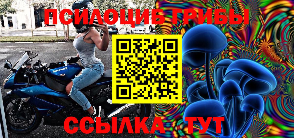 Псилоцибиновые грибы прущие грибы Шатура