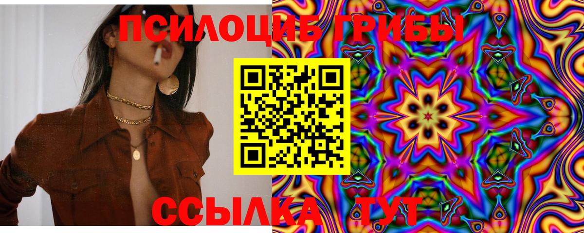 наркошоп  Шатура  Псилоцибиновые грибы Cubensis 