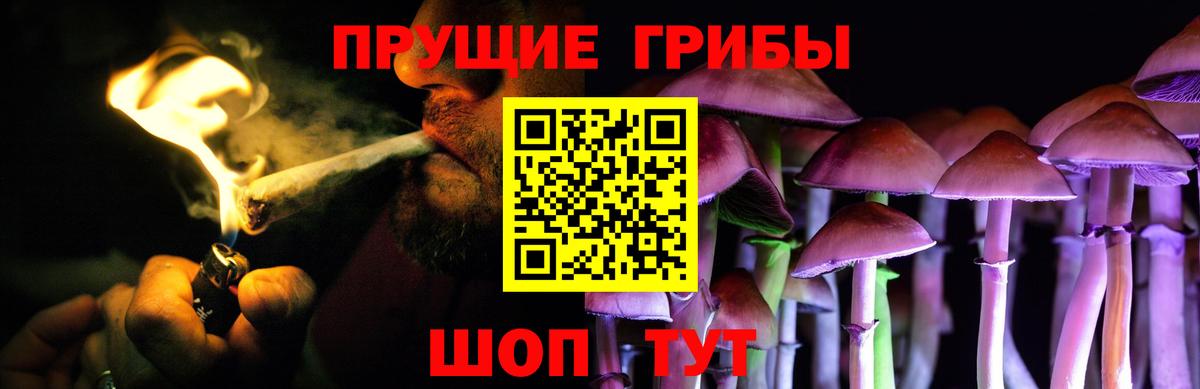 Галлюциногенные грибы Psilocybe Шатура