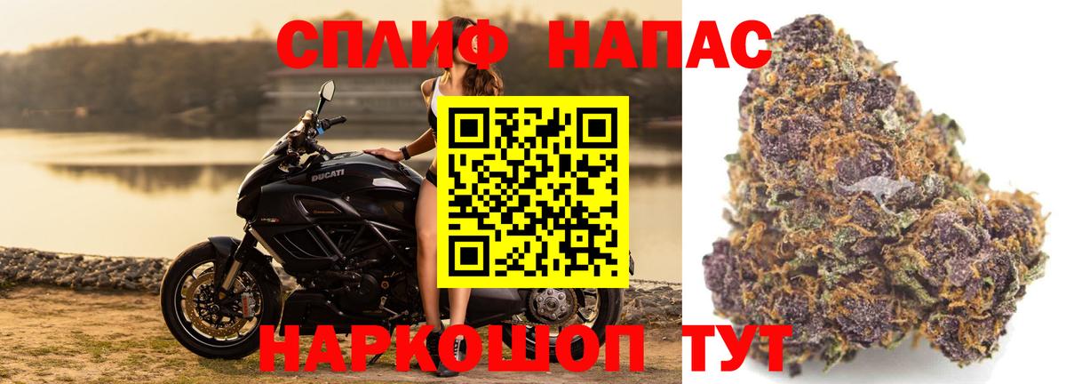 Канабис SATIVA & INDICA Шатура